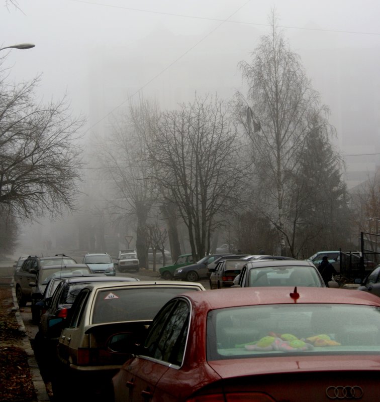 Туманный  город... - Валерия  Полещикова 