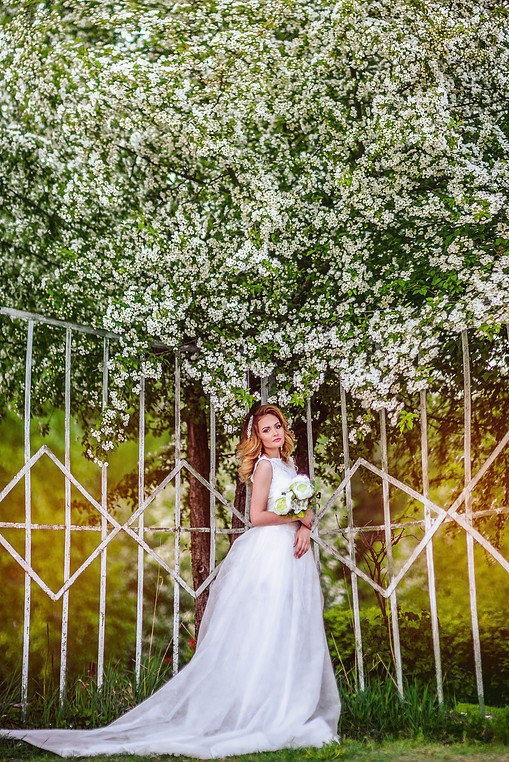 невеста и яблоня в цвету - Екатерина Фалевская
