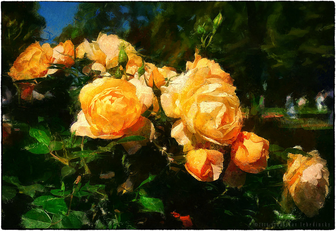 Розы Летнего сада - Станислав Лебединский