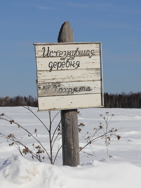 Без слов... - Александр Широнин