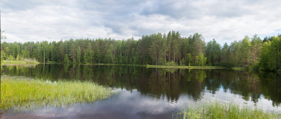 Лесное озеро - Руслан Веселов