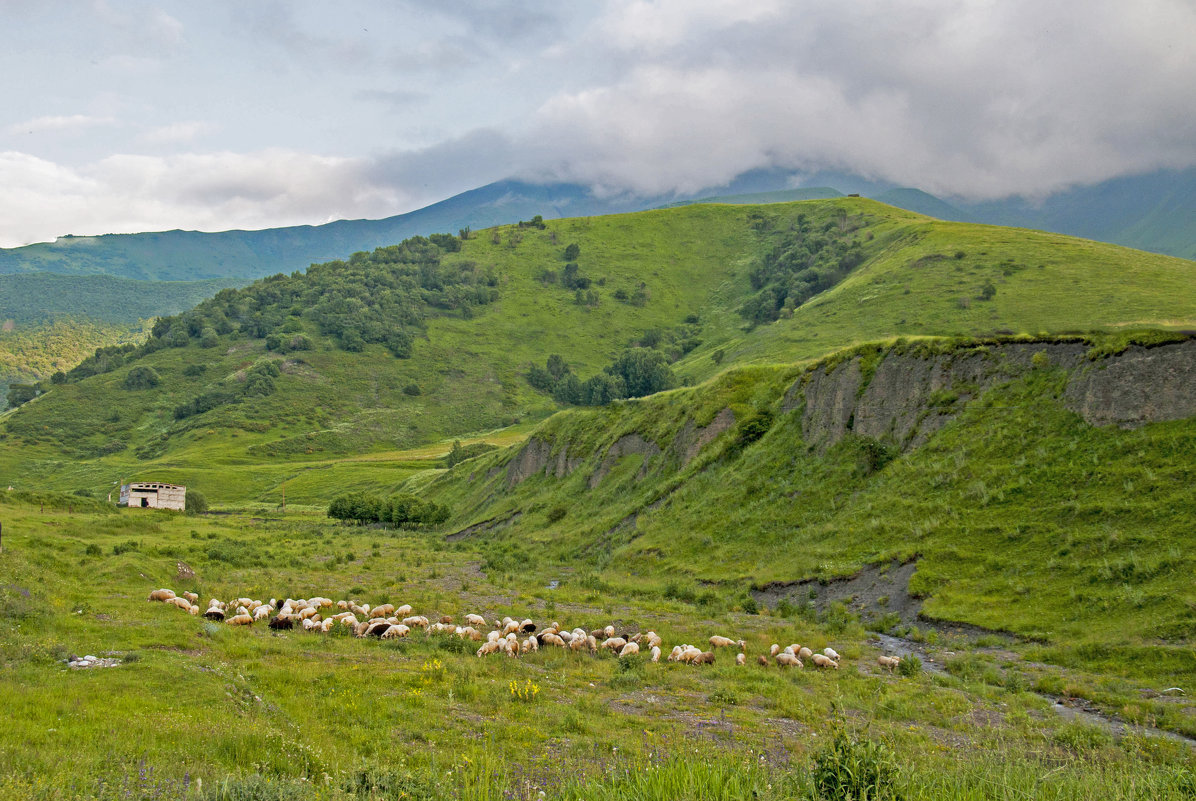 Северная Осетия. - ФотоЛюбка *