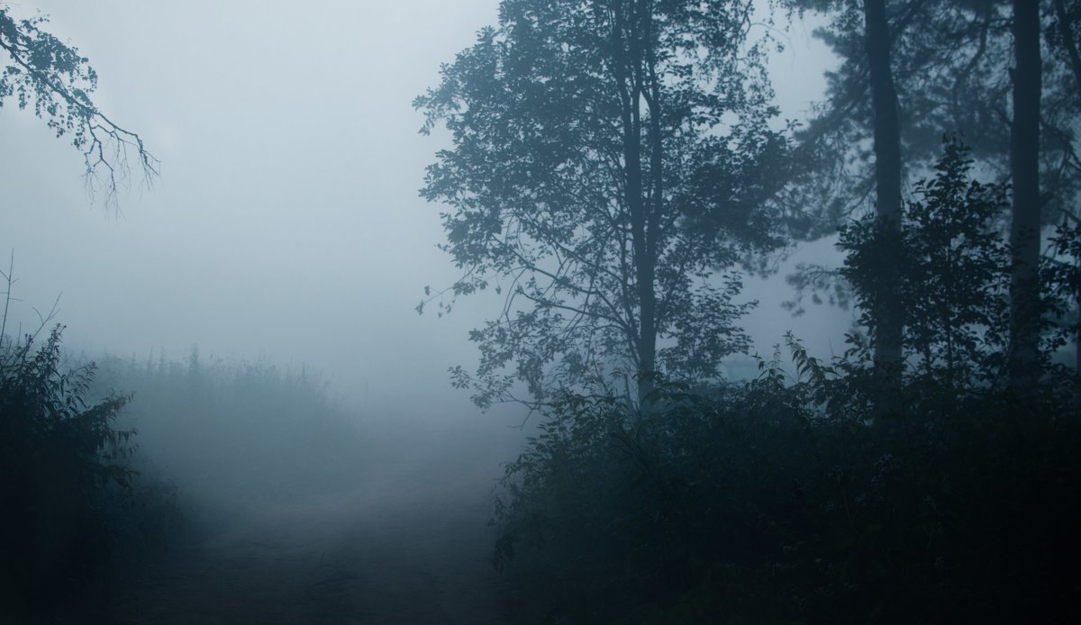 Утренний туман - Татьяна 