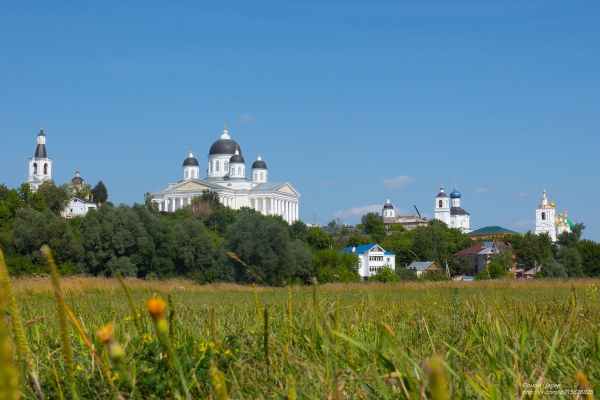 Арзамас храмы коллаж