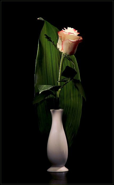 Натюрморт с розой - Андрей Окороков