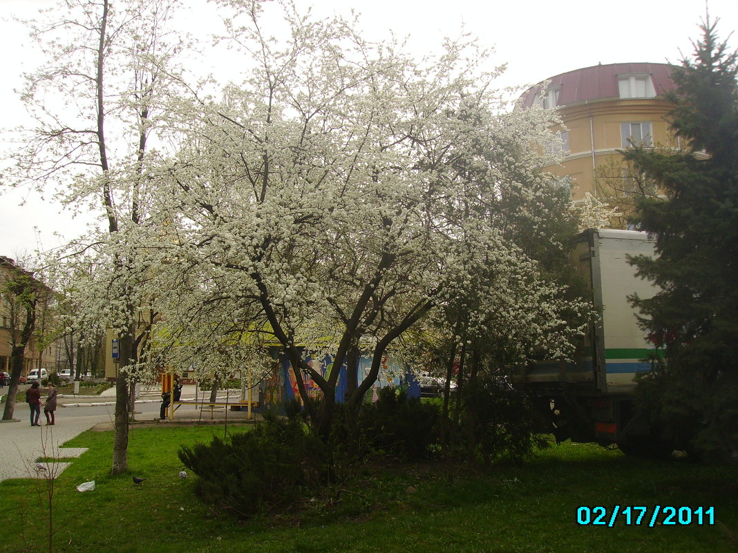 Весна  в   Ивано - Франковске - Андрей  Васильевич Коляскин