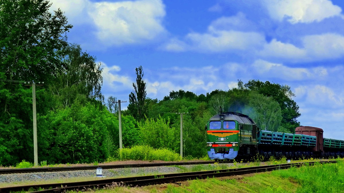 пейзаж с поездом - Александр Прокудин
