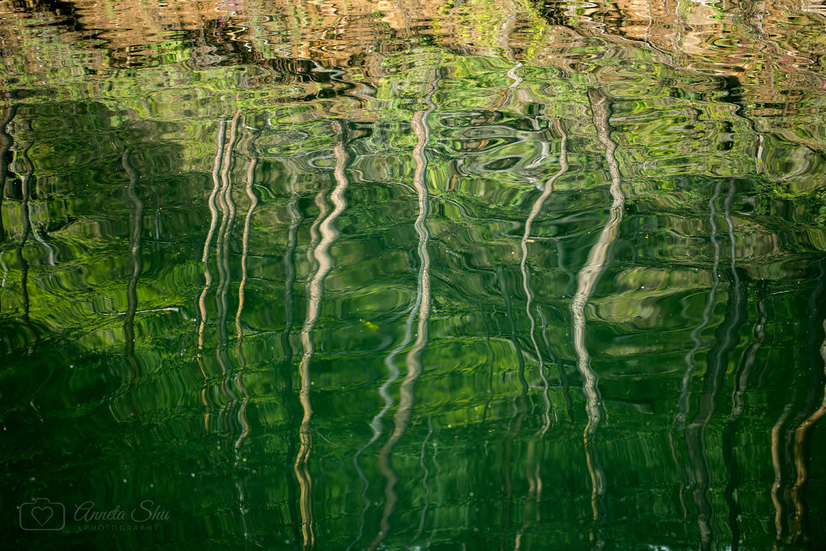 Картина на воде "Краски летнего леса" - Аннета /Анна/ Шу