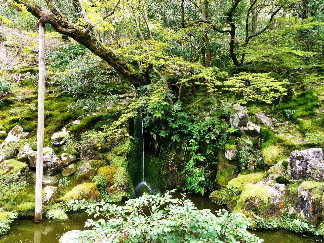 Киото Храм Гинкакудзи - wea *