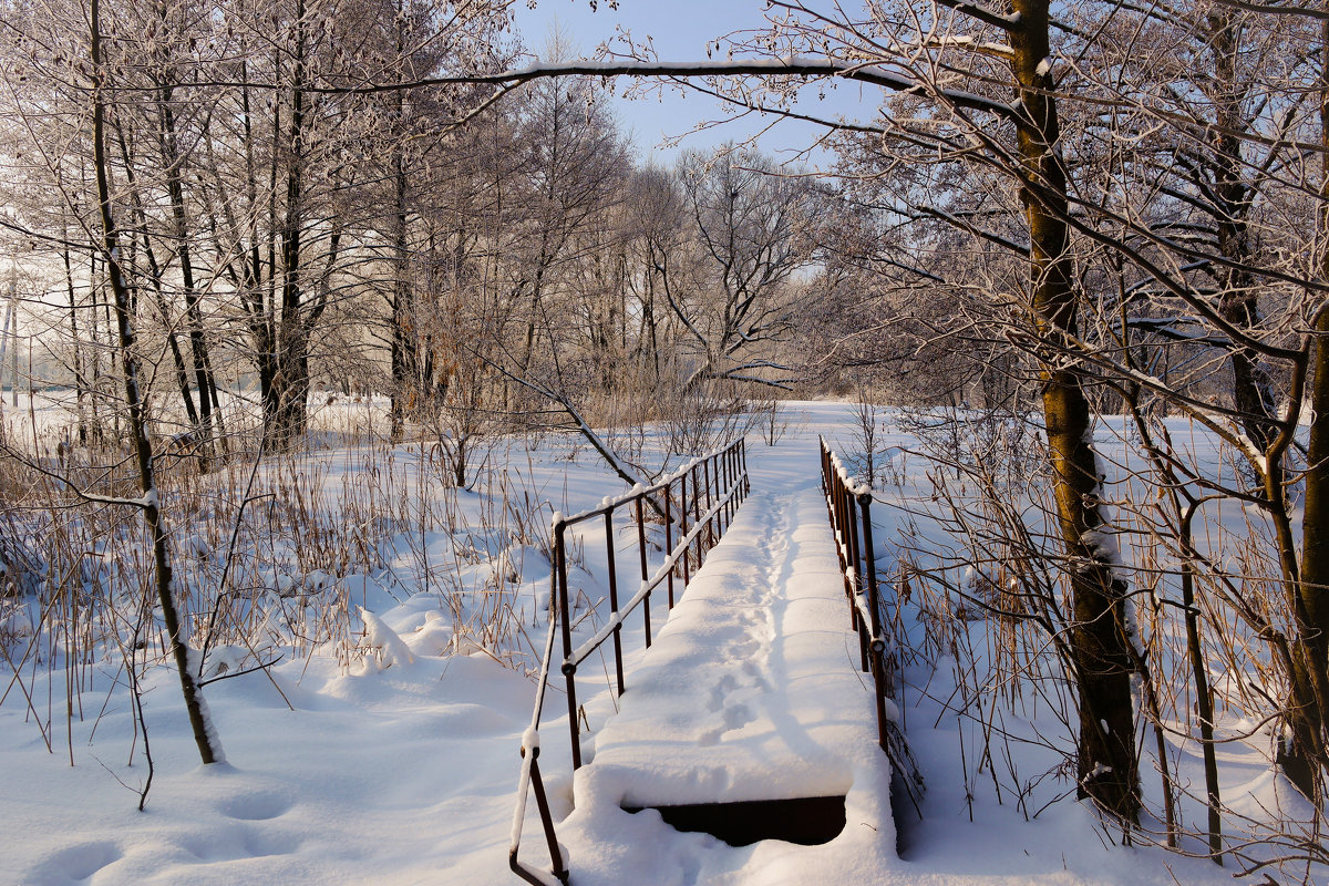 Зимний пейзаж с мостиком. - Александр Селезнев