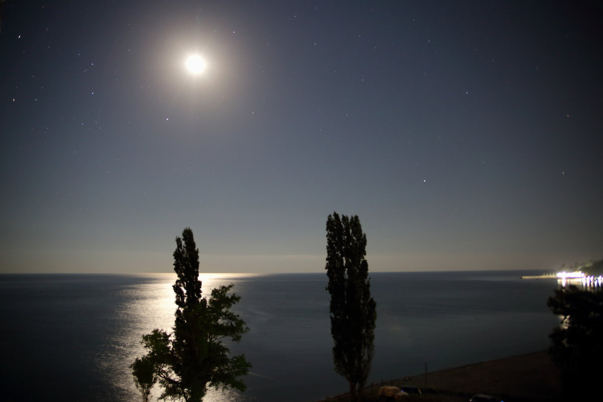 Теплая лунная ночь - Леонид 