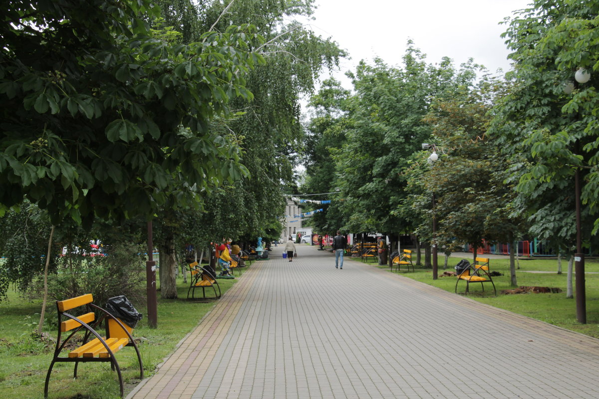 В парке - Олег Афанасьевич Сергеев