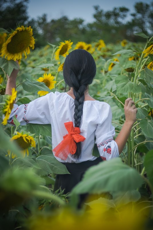 summer...)) - Pavel Svyatodukh