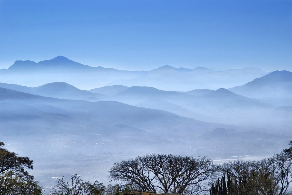 Мексика. Туман в Монте - Альбане - Андрей Левин