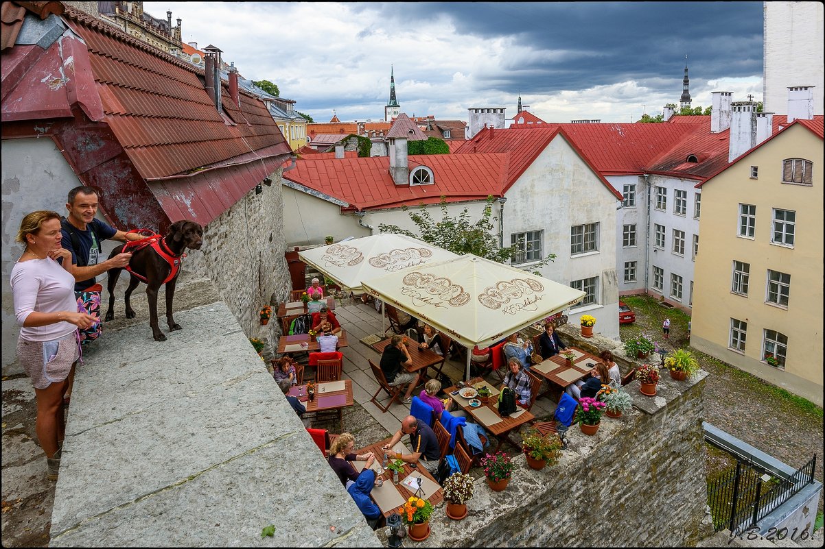 Tallinn, 2016 - Jossif Braschinsky