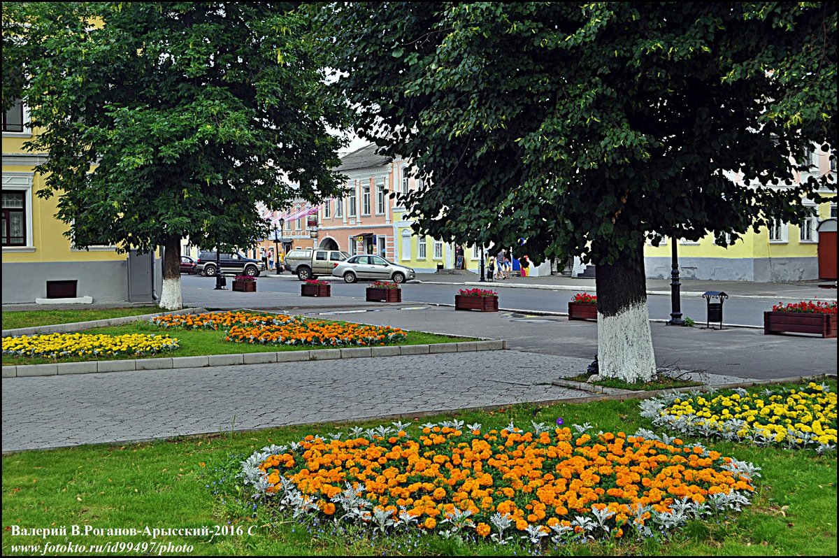 МУРОМ(89) - Валерий Викторович РОГАНОВ-АРЫССКИЙ