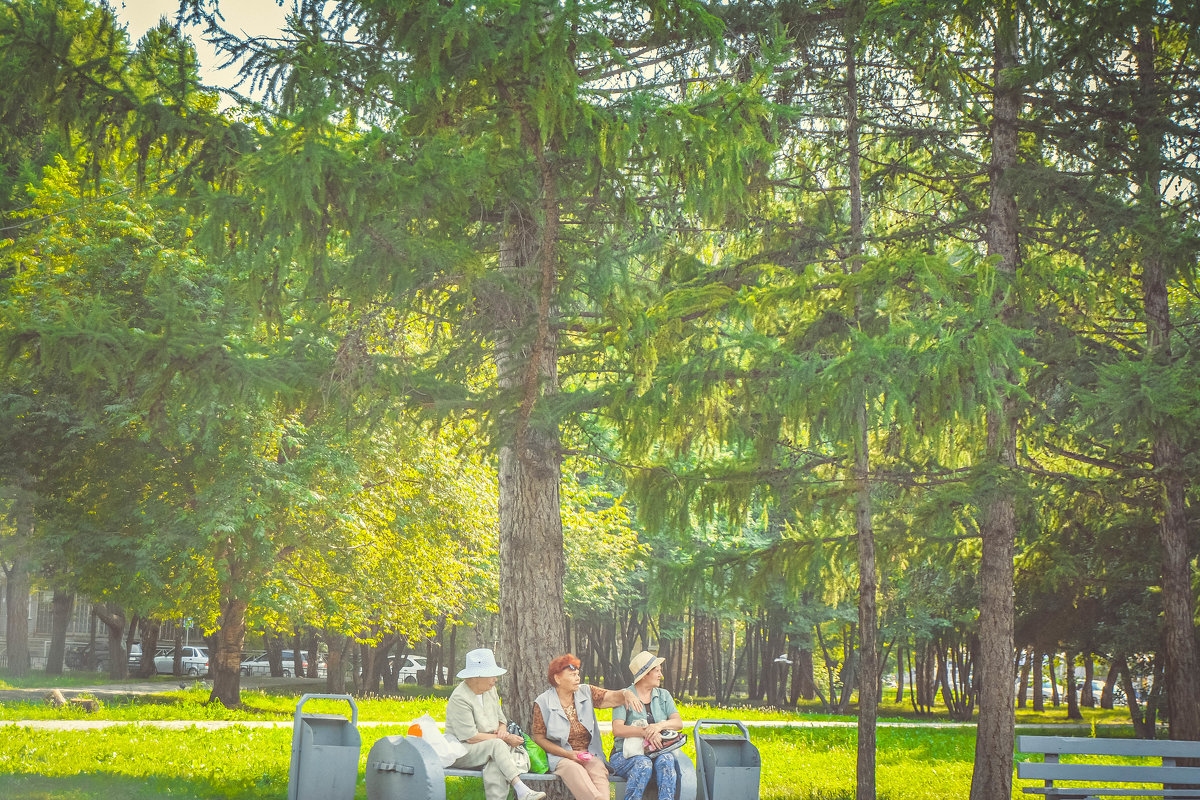 бабушки сидят в парке под ёлкой - Света Кондрашова