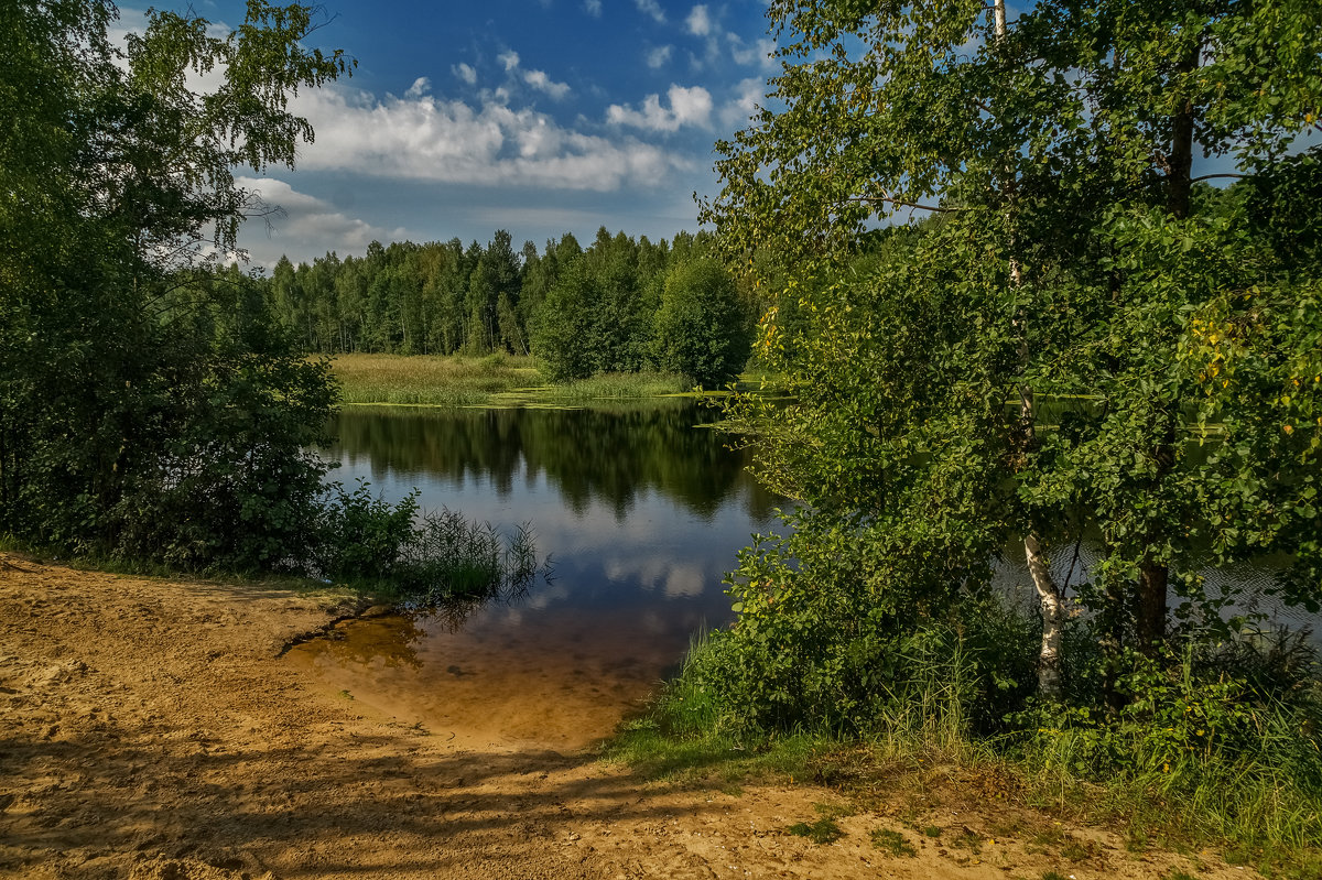 Август озеро в лесу 2 - Андрей Дворников