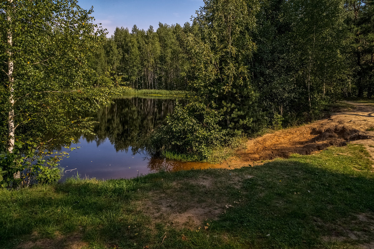 Август озеро в лесу 3 - Андрей Дворников