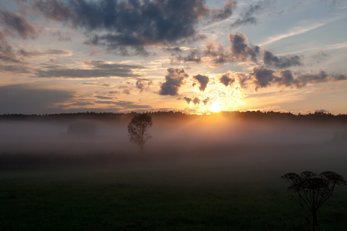 Туман на солнце - Владимир Миронов