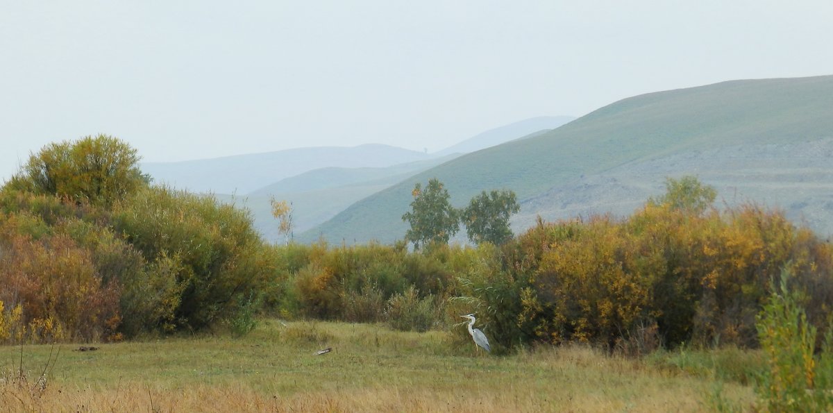 осеннее настроение - Анна 