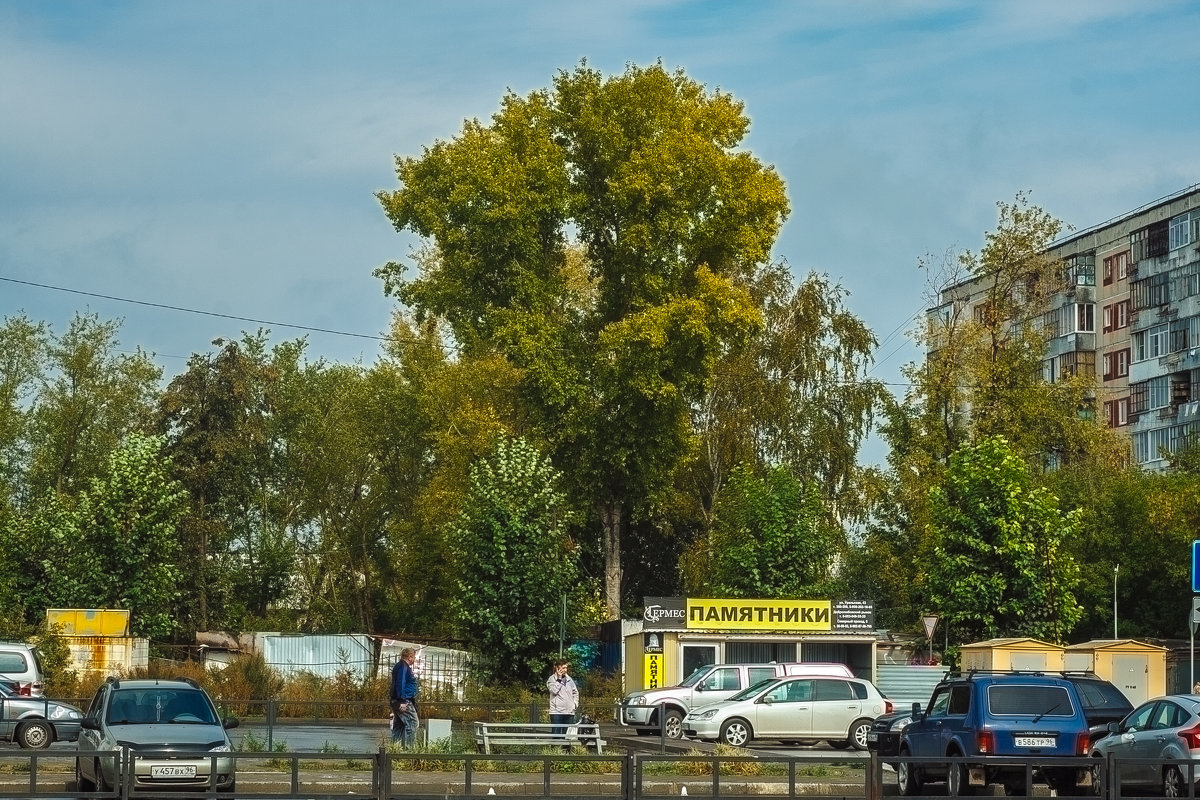 *** - Дмитрий Костоусов