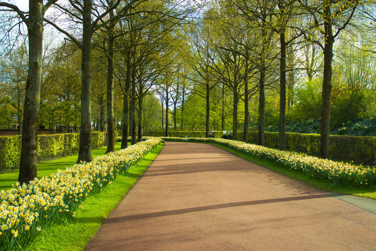 Keukenhof - Юрий Ващенко