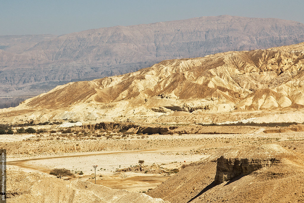 Мертвое море - Пила Дотошная