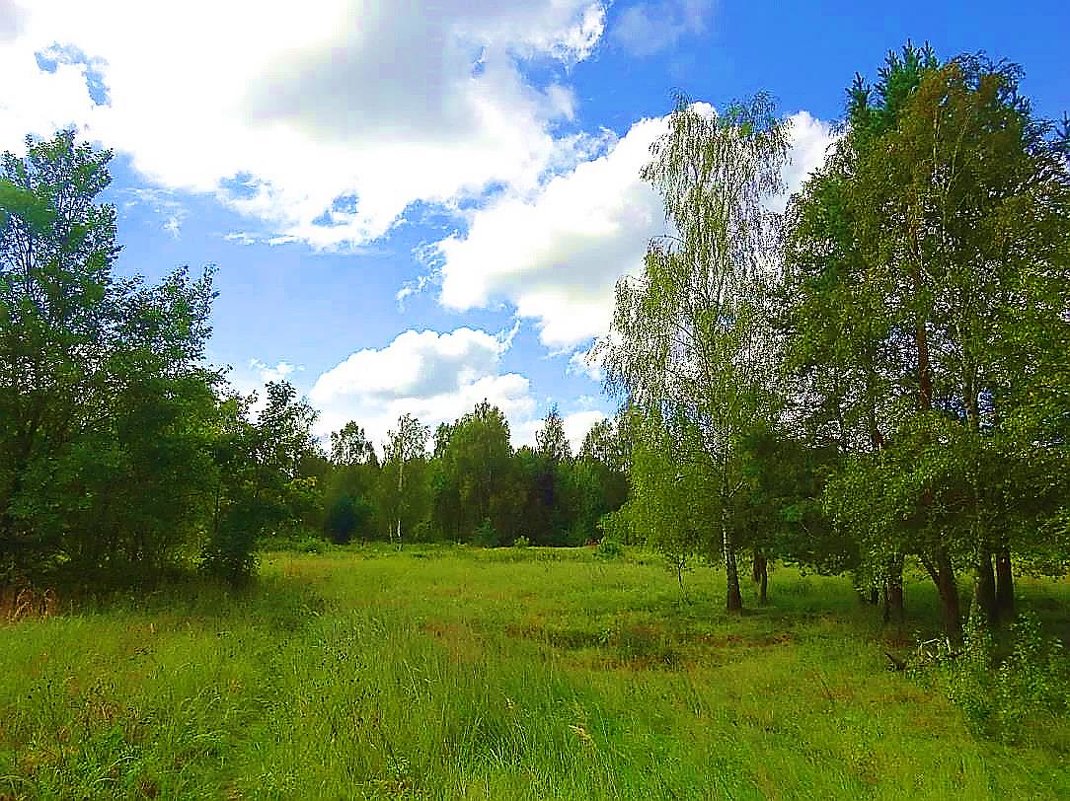 В окрестностях поселка Космодемьянский - Маргарита Батырева