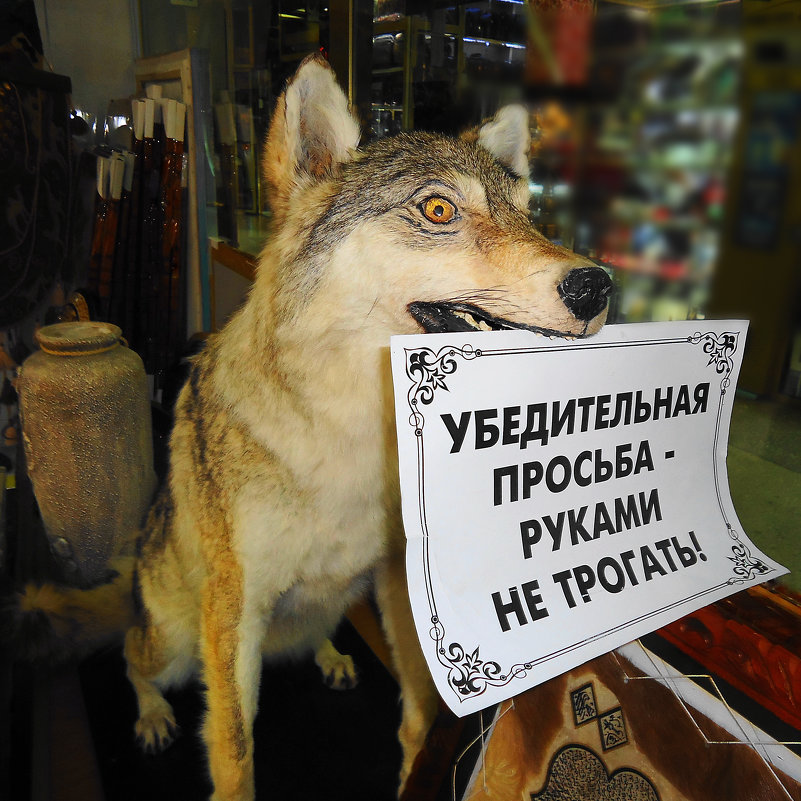 Волчья вежливость - Вячеслав Платонов