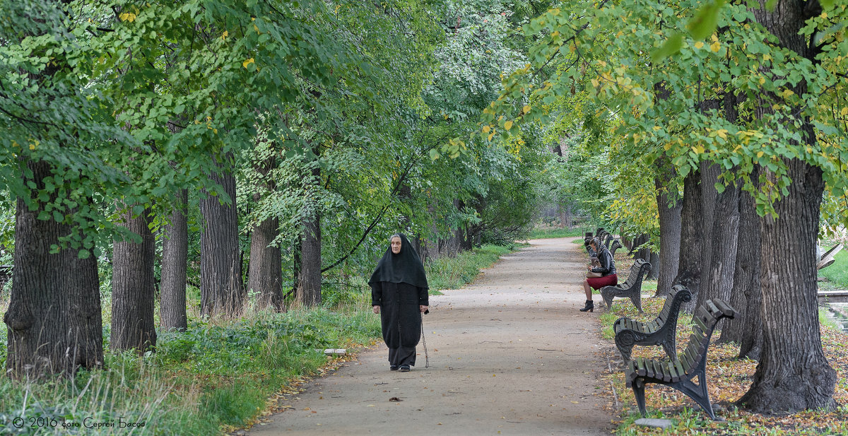 *** - Сергей Басов