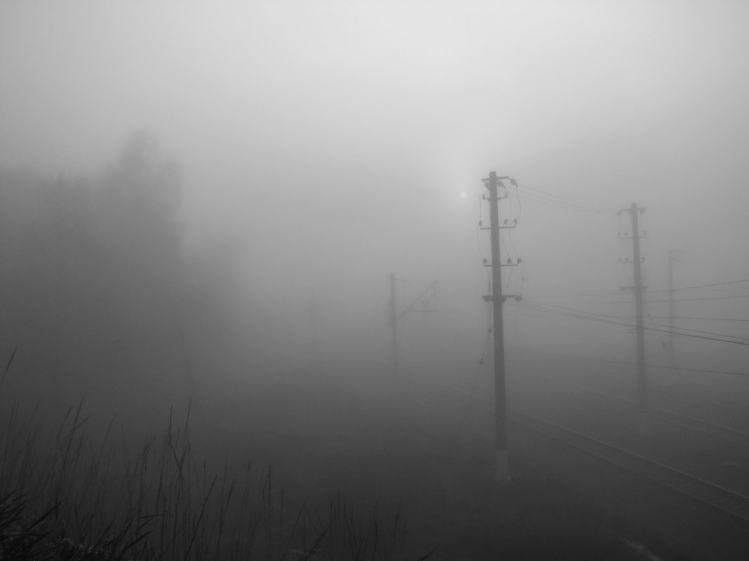 Провода в тумане