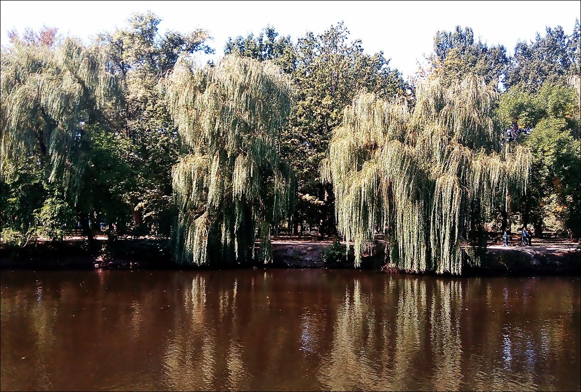 В запорожском парке "Дубовая роща" - Нина Корешкова