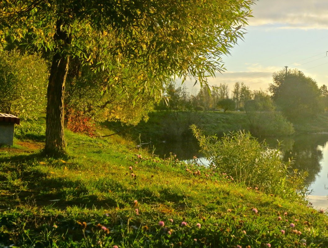 осенняя - Елена 