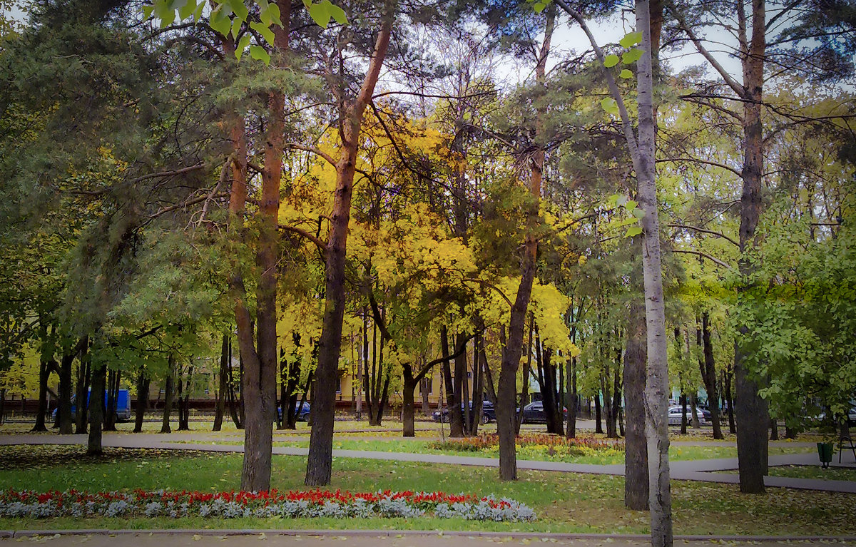 Осень в парках и скверах Москвы. - Владимир Безбородов