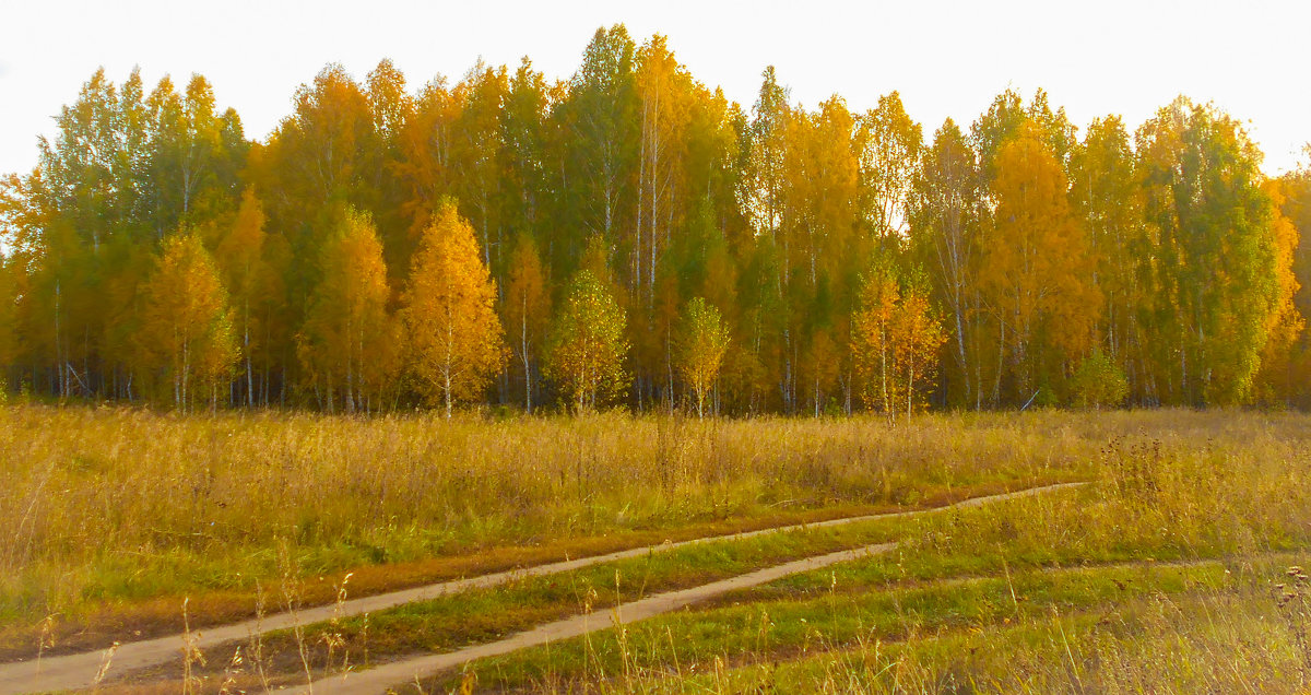 Осень - Владимир Савельев