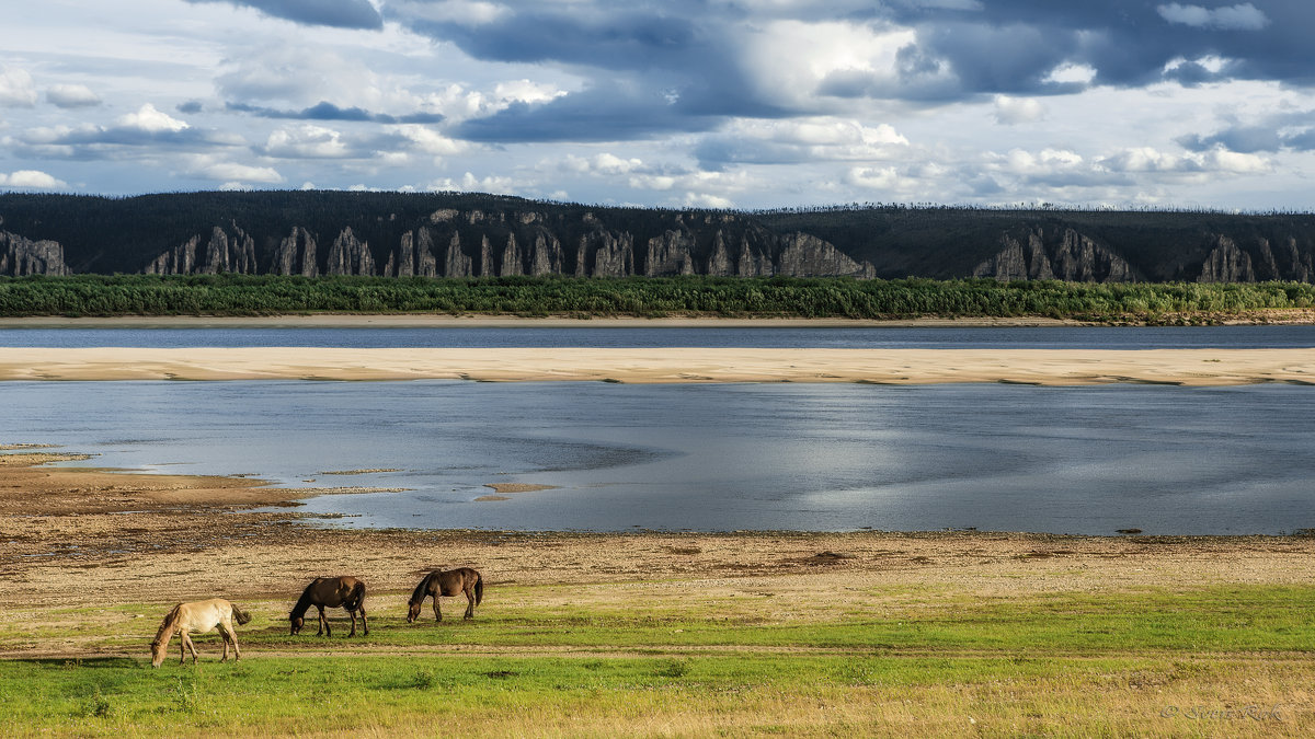 Horses on the river bank. Лошадки на берегу. - Sven Rok