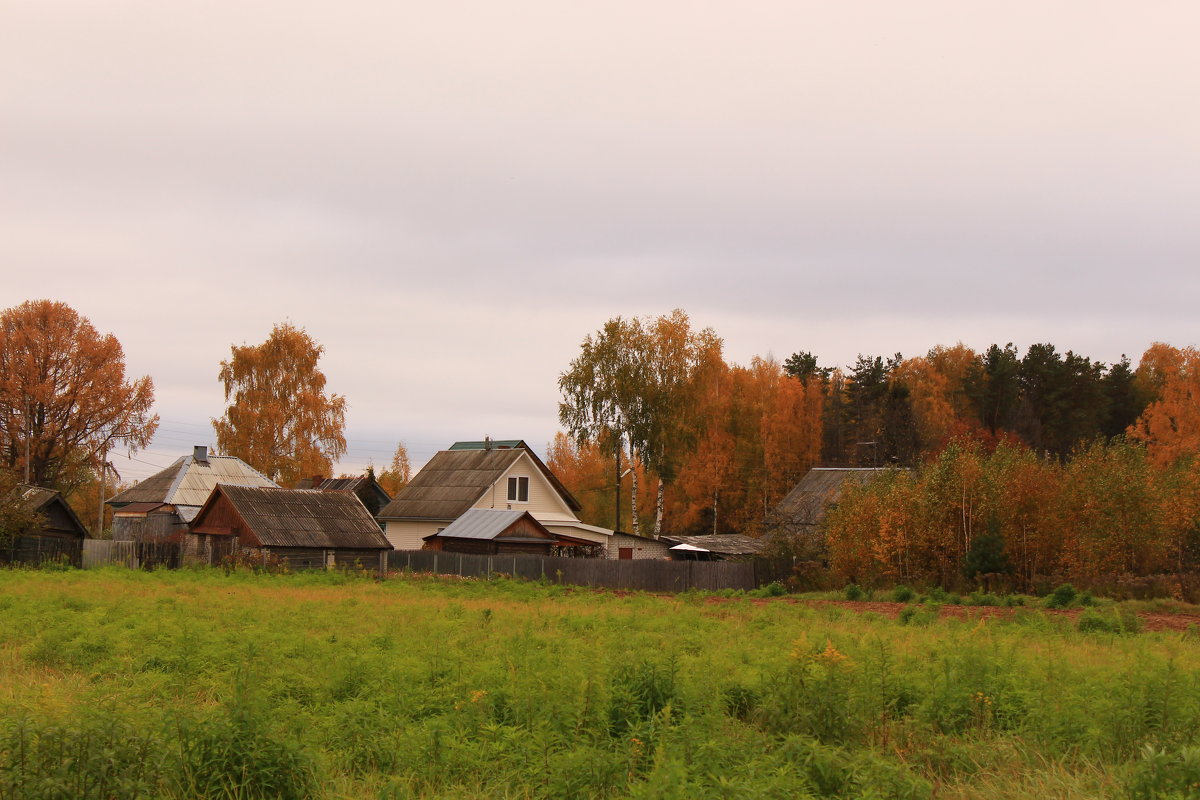 Фотографии деревни лепши