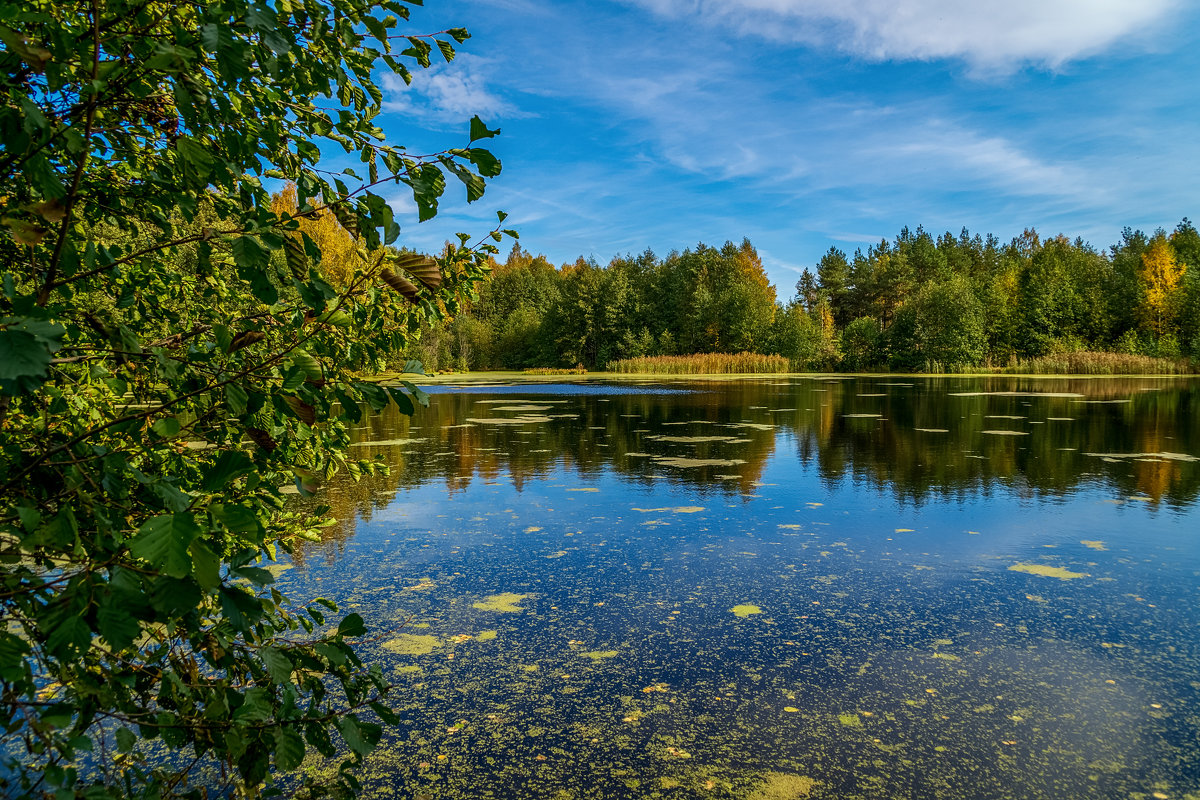Осень на лесном озере - Андрей Дворников