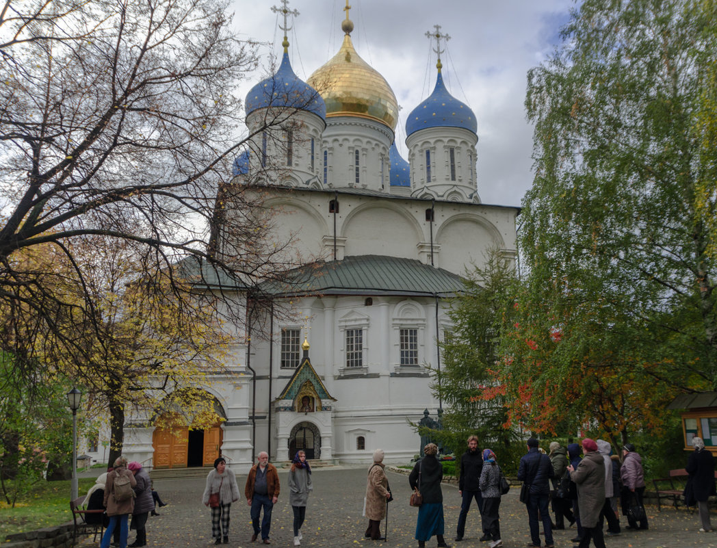 Новоспасский монастырь - Лариса *