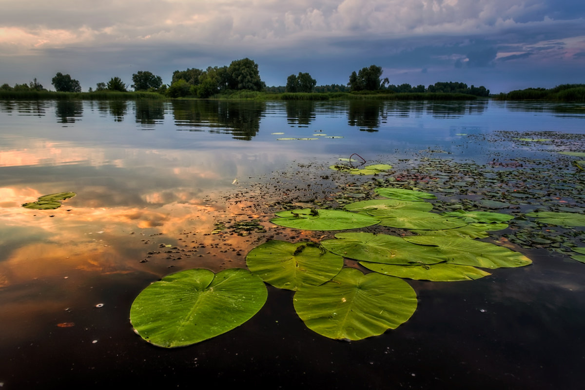 ... - Cлава Украине 