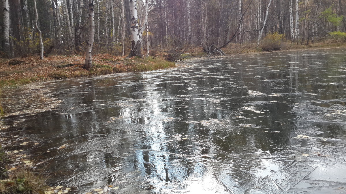 Первый тонкий лед на озере. - Наталья Тимофеева