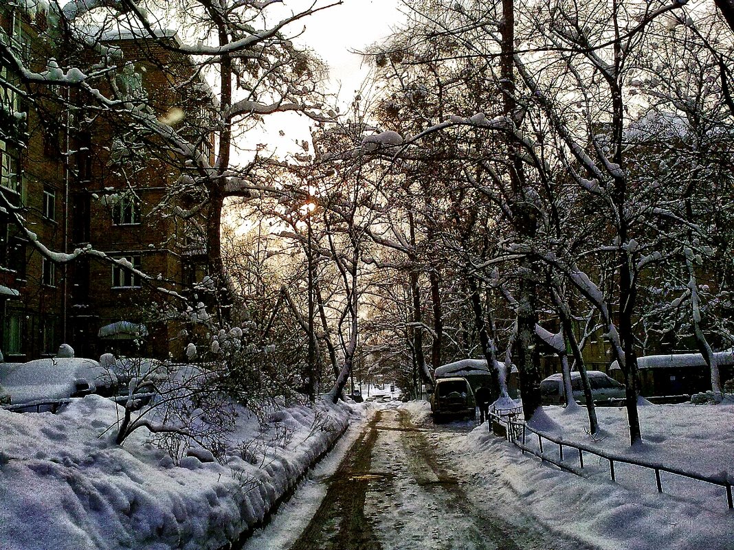 Зиний вечер в городе - Владимир Бровко