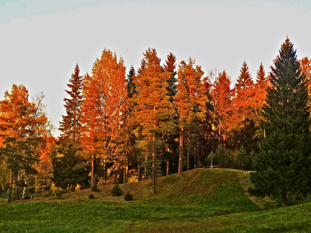 и закат, и осень - Елена 