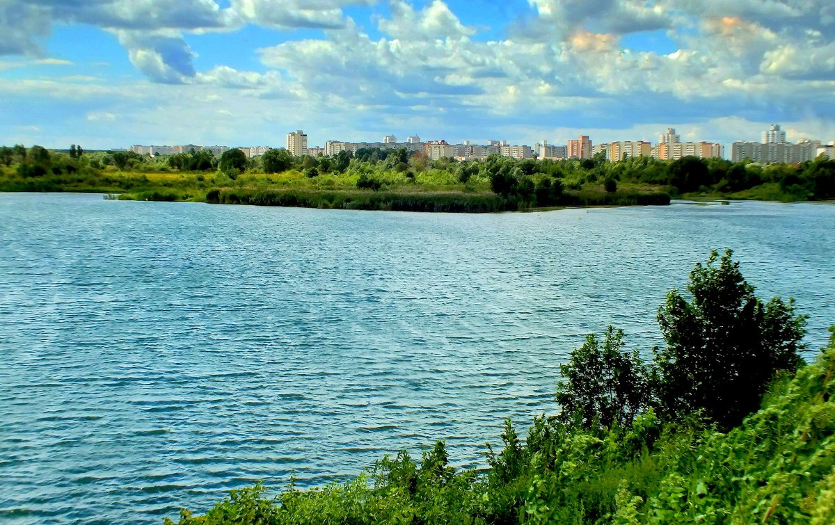 пригородный пейзаж - Александр Прокудин