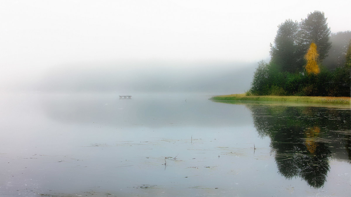 Туманный рассвет на озере. - Sven Rok