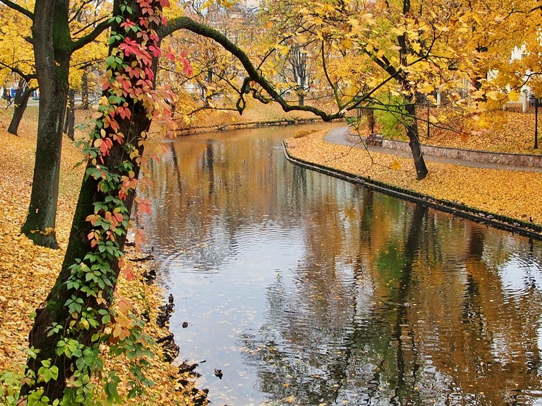 С тихим шорохом нам под ноги ложатся. - wea *