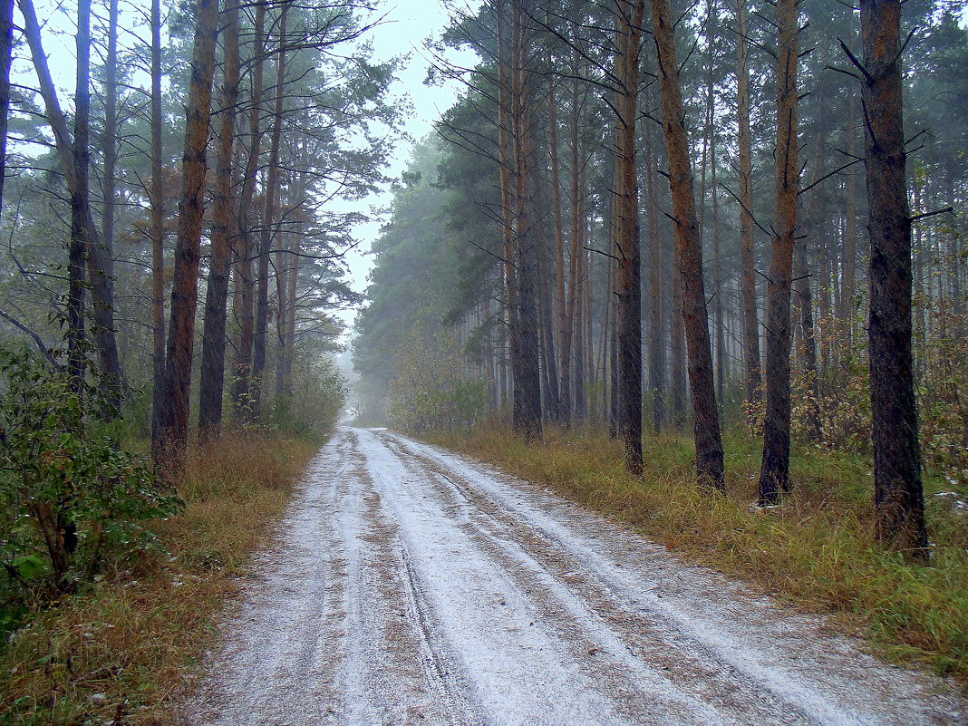 Дорога к морю, под Покровом . - Мила Бовкун