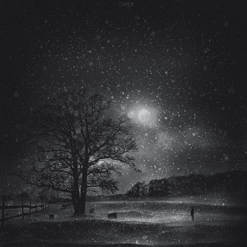 winter night - lana cardi