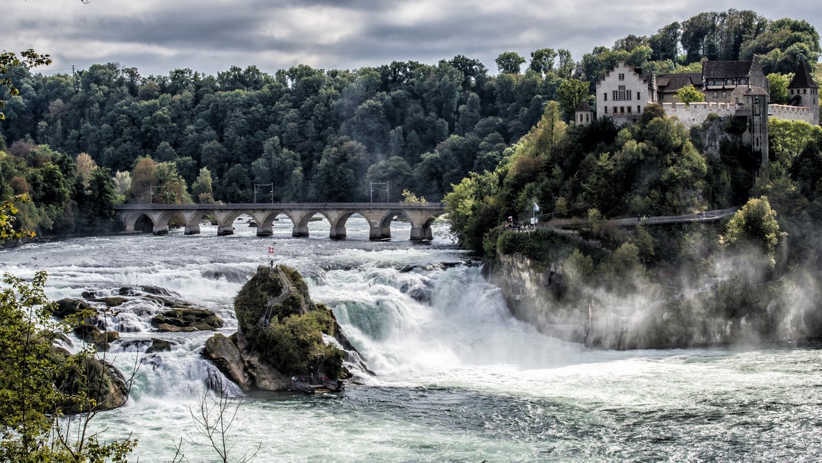 Rhine Falls - Dmitry Ozersky